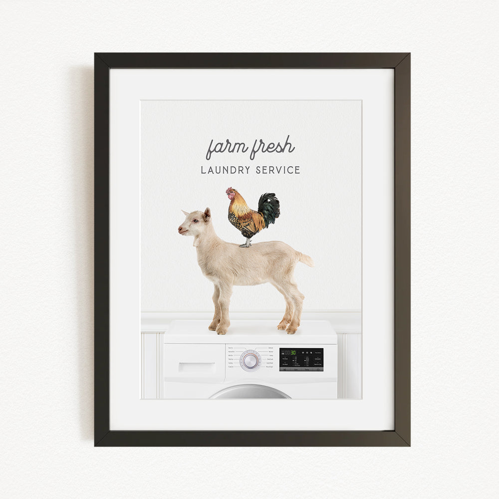 a white washing machine with a goat standing on top of it, and a rooster perched on the machine's control panel.