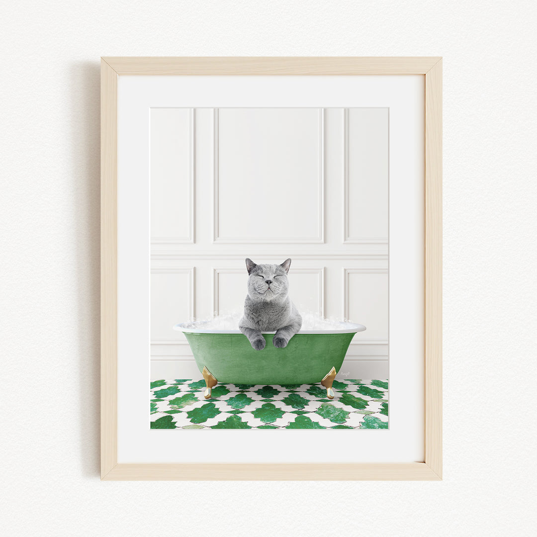A gray cat sitting in a green bathtub, with a patterned green and white rug in front of it.