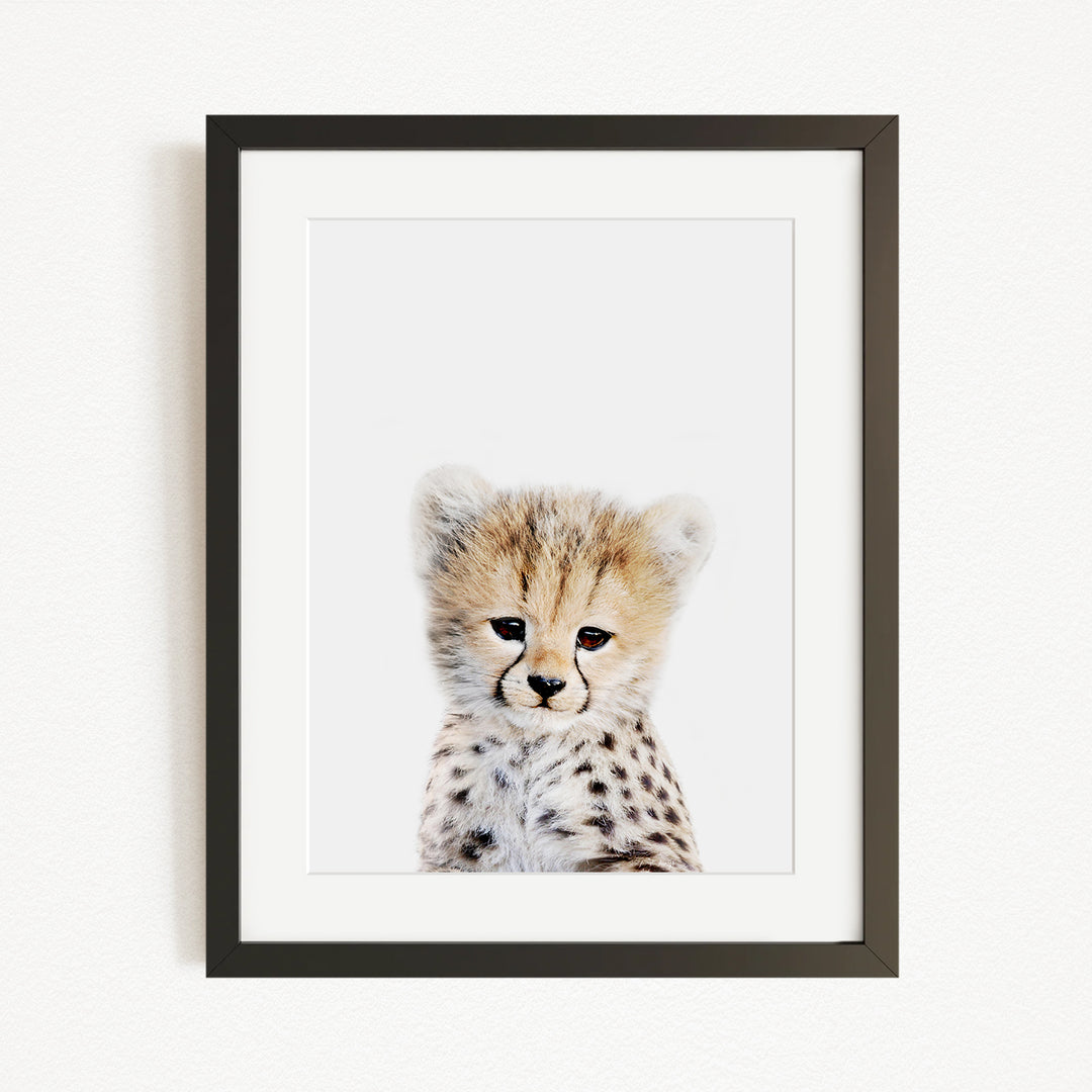 A young cheetah with a spotted coat is the focus of the framed print, which is hung on a wall.