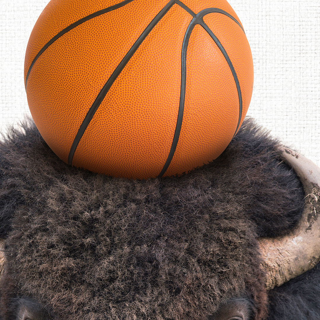 a basketball sitting on top of a bison's head