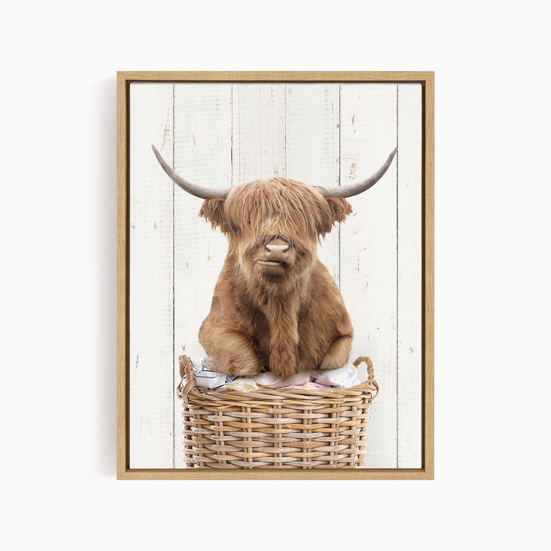 A brown Highland cow with shaggy hair sits in a wicker basket against a white wooden background.
