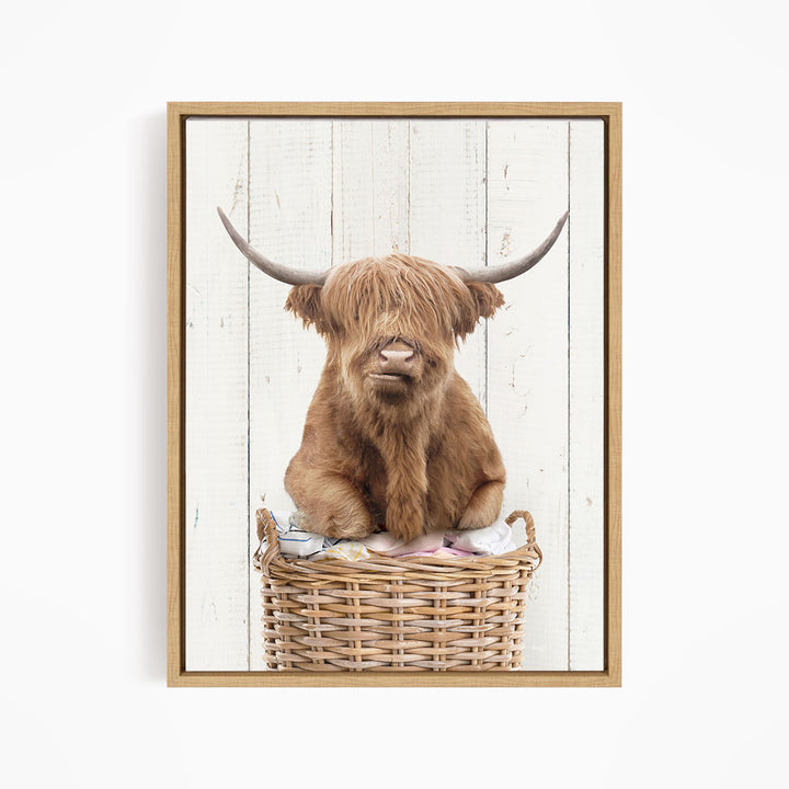 A brown Highland cow with shaggy hair sits in a wicker basket against a white wooden background.
