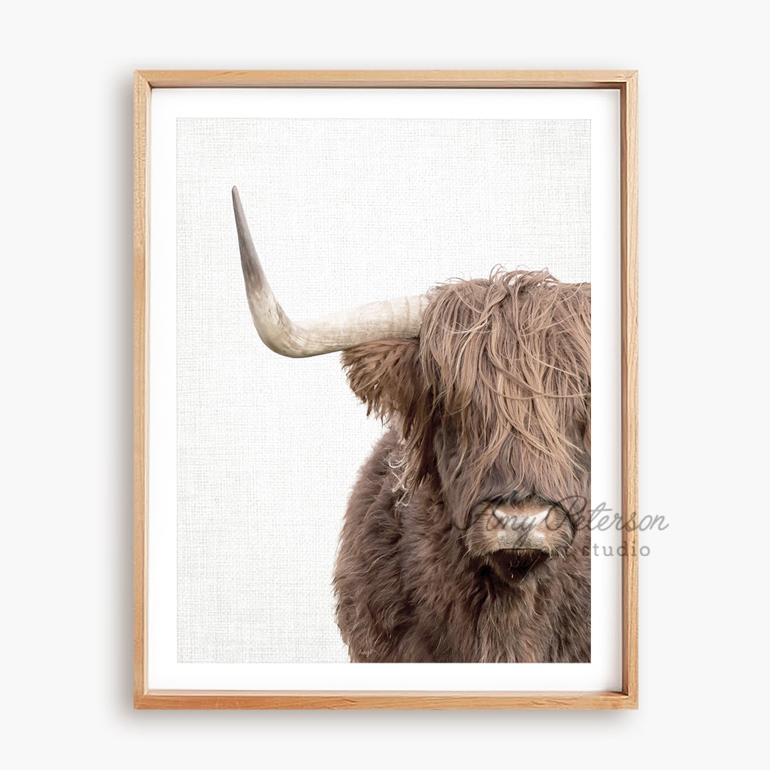 a picture of a bull with long horns