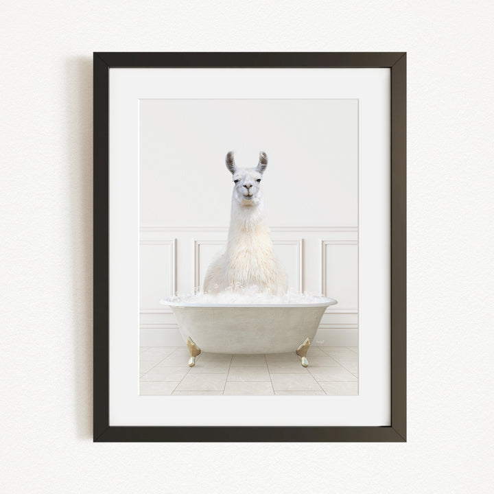 A white llama sitting in a white bathtub filled with bubbles, creating a whimsical and playful scene.