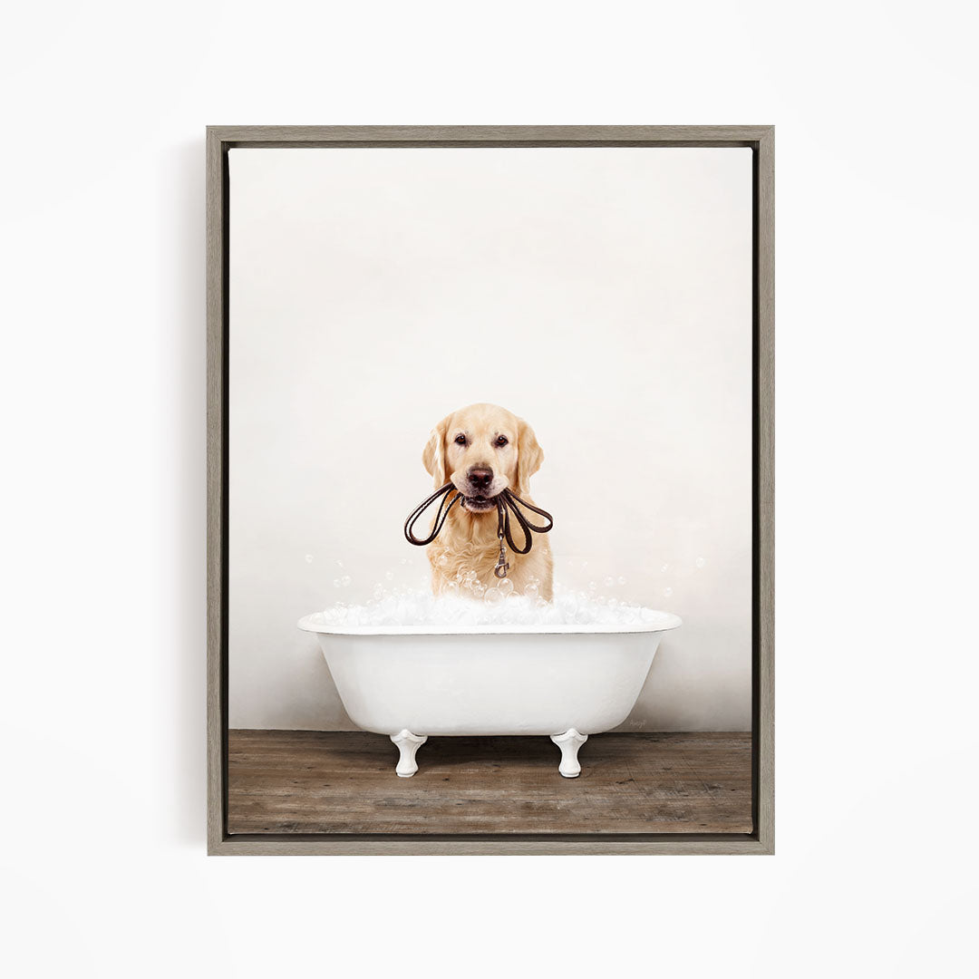 A golden retriever dog sitting in a white bathtub, holding a leash in its mouth.