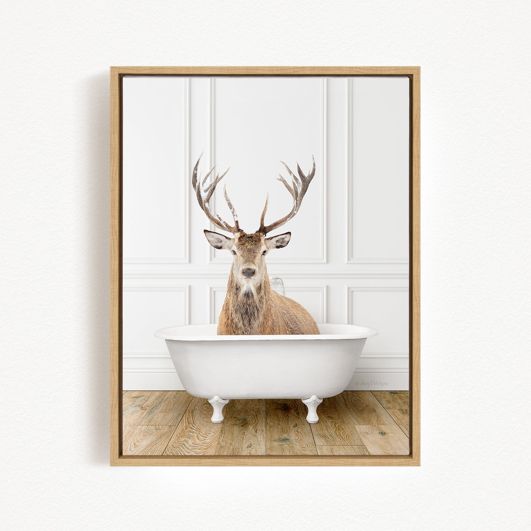 A deer with large antlers is sitting in a white bathtub, which is placed on a wooden floor against a white wall.