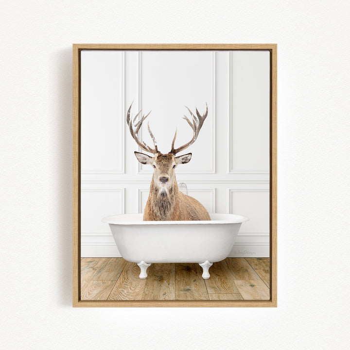 A deer with large antlers is sitting in a white bathtub, which is placed on a wooden floor against a white wall.