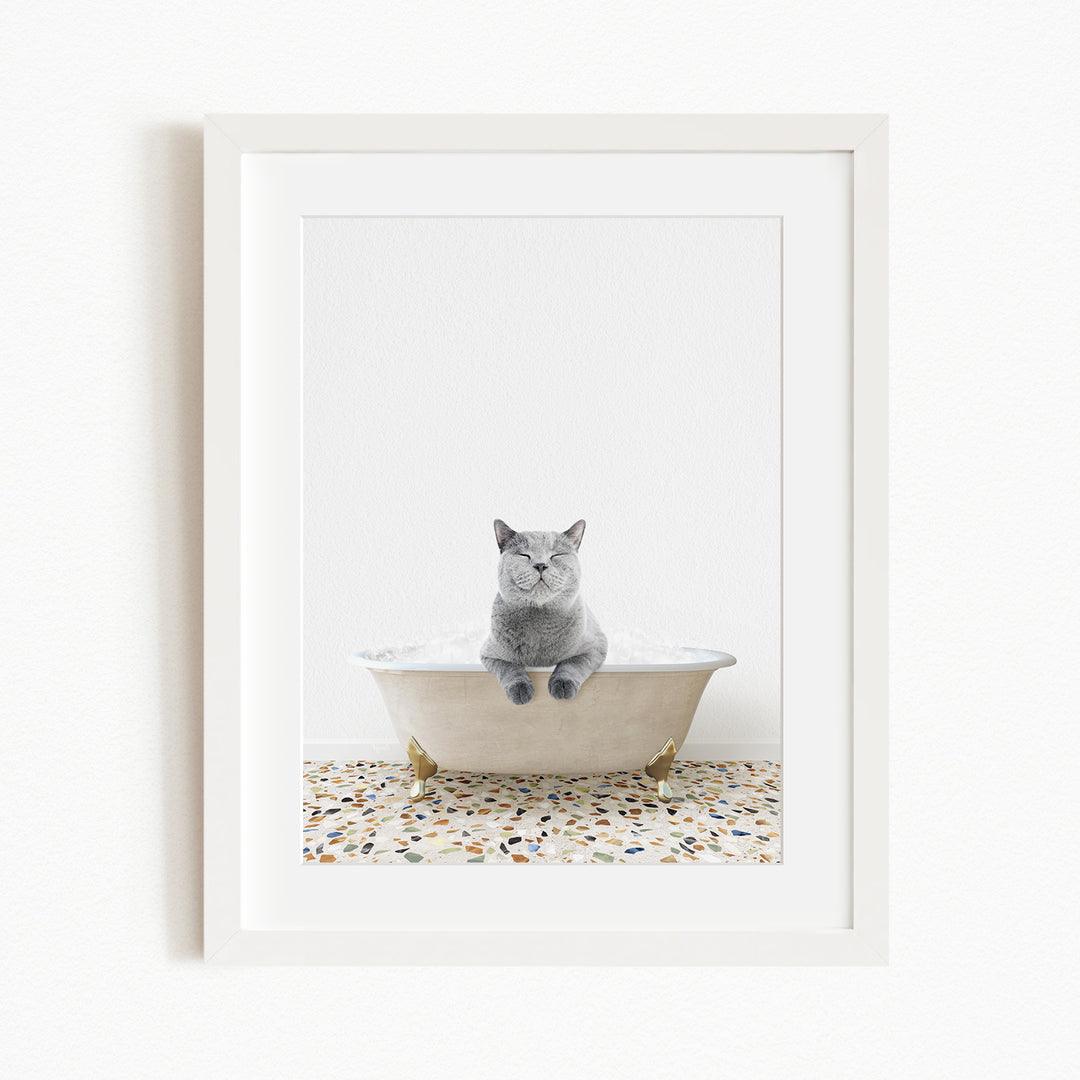 A gray cat sitting in a white bathtub filled with bubbles, looking content and relaxed.