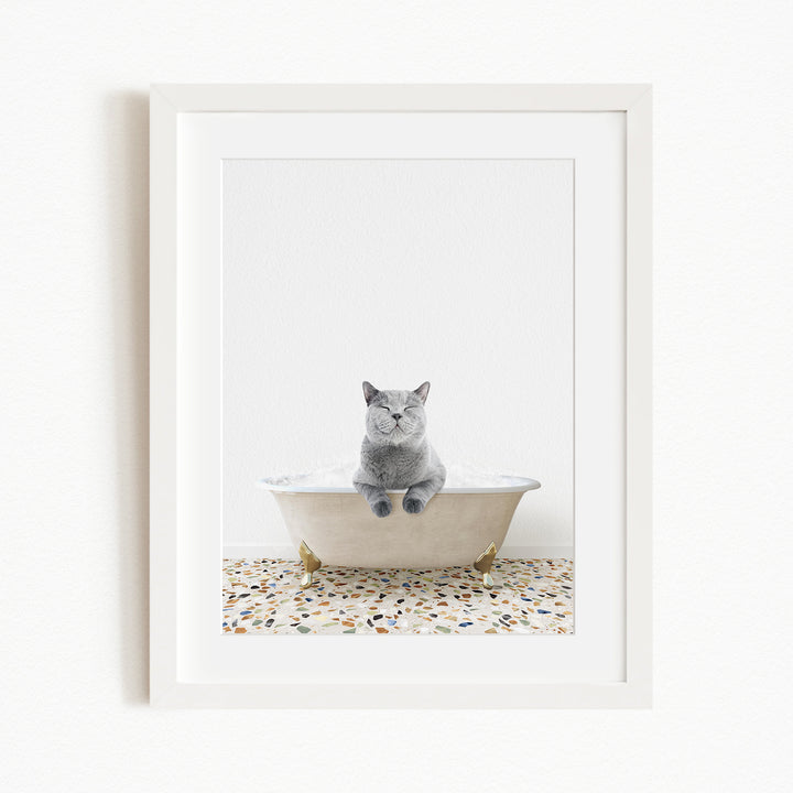 A gray cat sitting in a white bathtub filled with bubbles, looking content and relaxed.