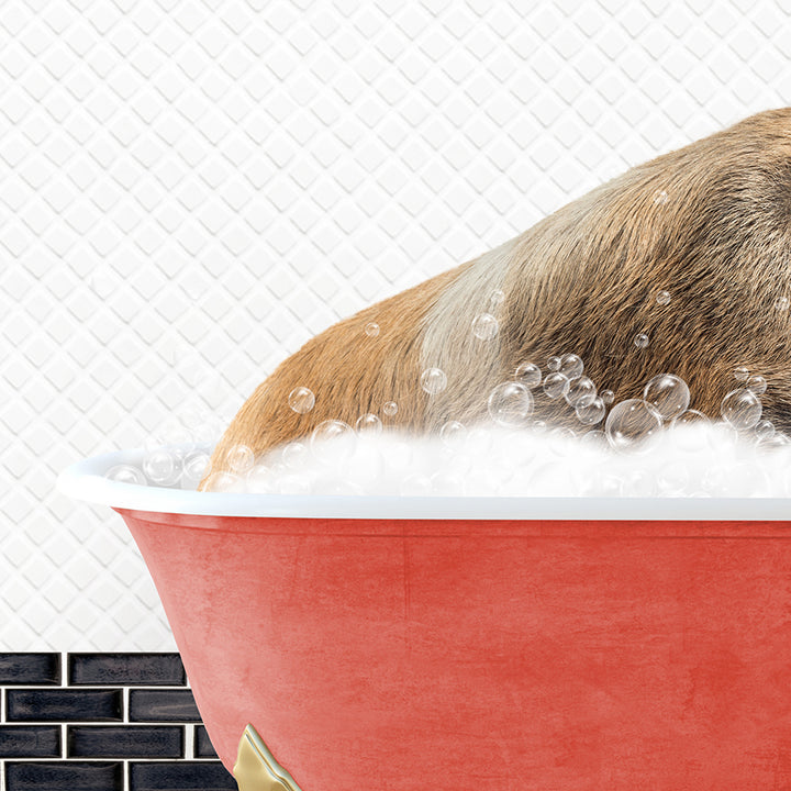 a dog taking a bath in a red bathtub