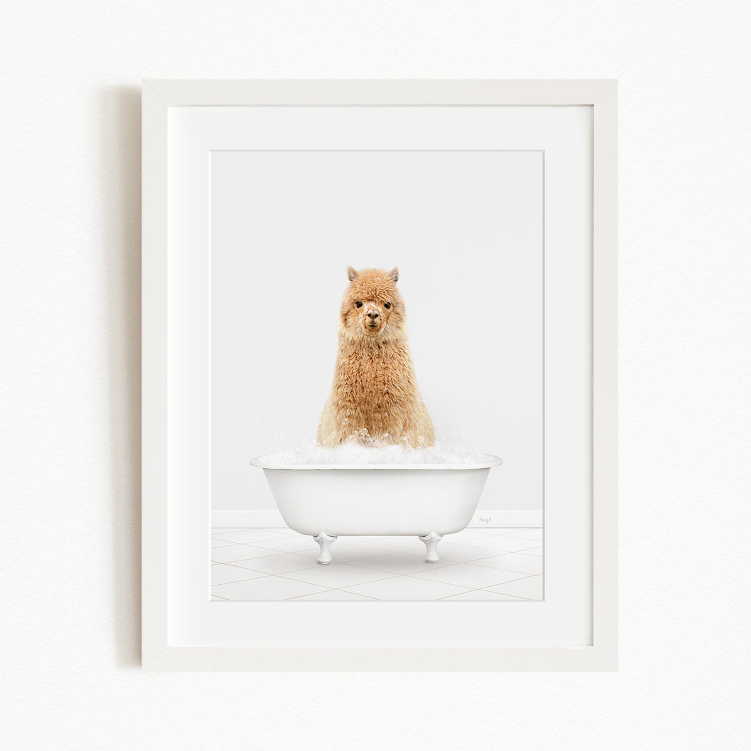 A fluffy brown alpaca sitting in a white bathtub filled with bubbles.