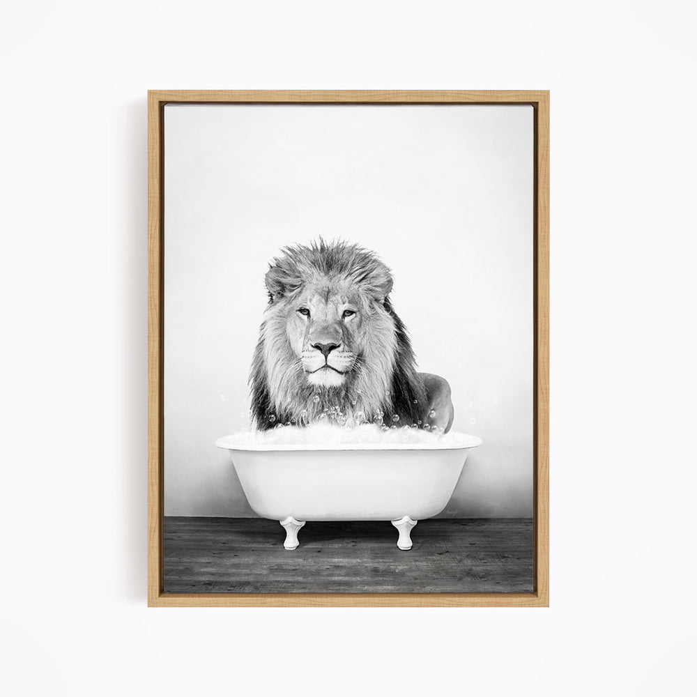 A lion sitting in a bathtub filled with water, appearing to be enjoying the bath.