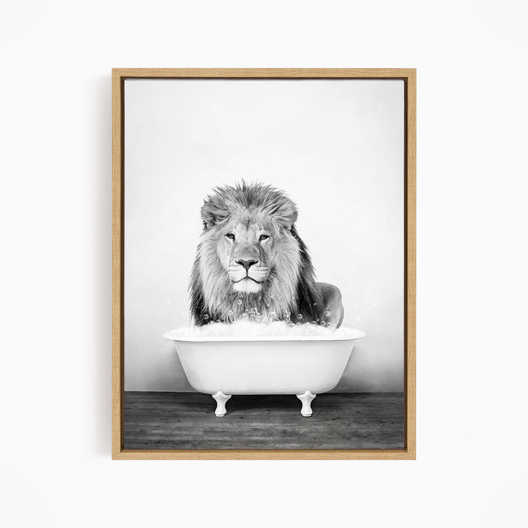 A lion sitting in a bathtub filled with water, appearing to be enjoying the bath.