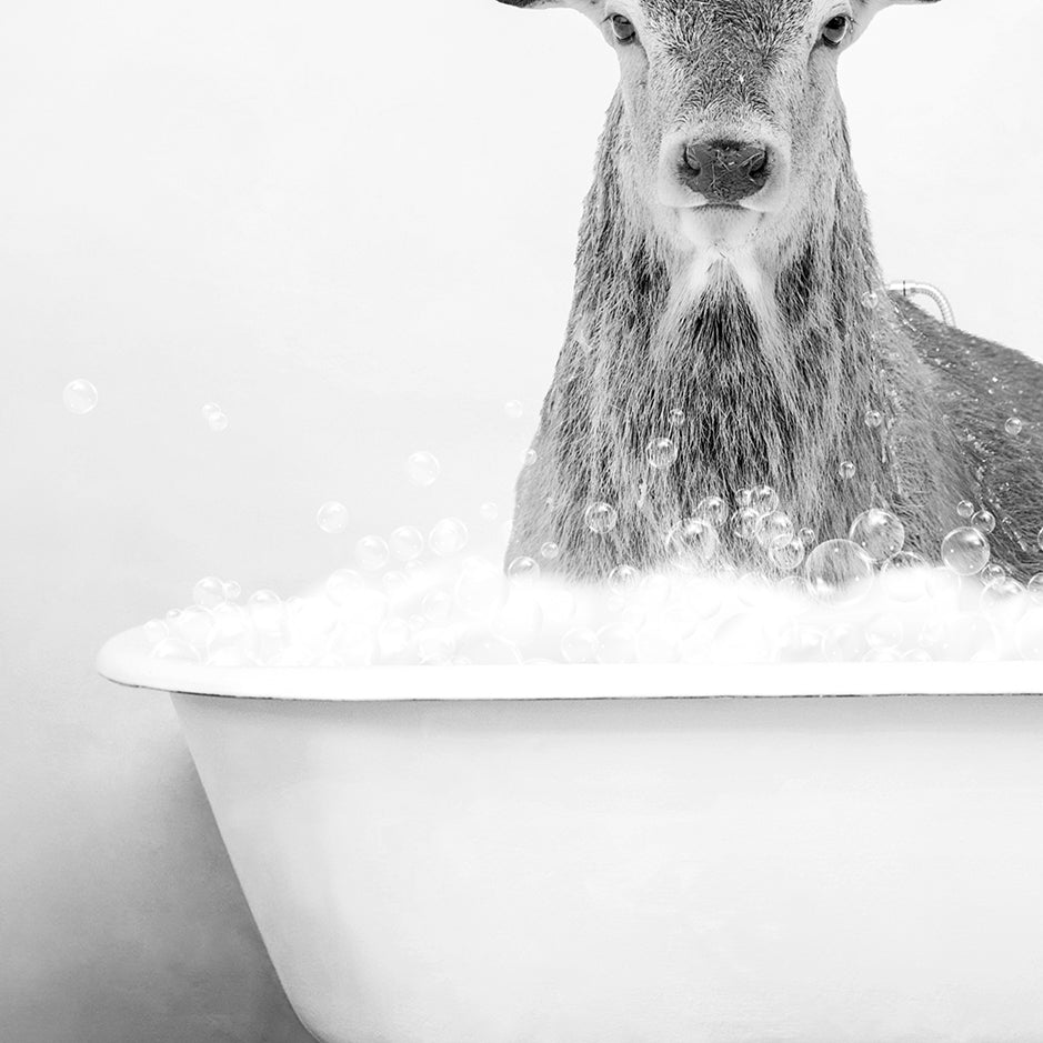 a deer in a bathtub with bubbles of water