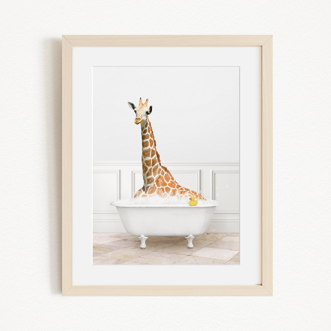 A giraffe is sitting in a white bathtub filled with water, with a yellow rubber duck floating in the water.