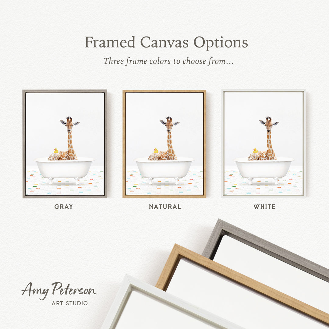 three framed canvas options featuring a giraffe sitting in a bathtub, with each frame having a different color: gray, natural, and white.