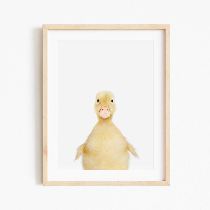 a picture of a duck in a frame