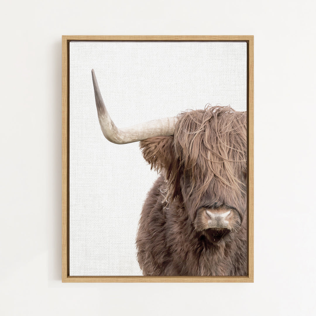 A close-up of a long-haired, shaggy-haired animal with a curved horn, likely a yak or similar species, against a plain white background.