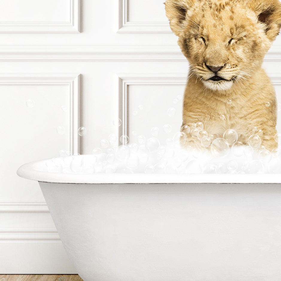 a small lion cub sitting in a bath tub