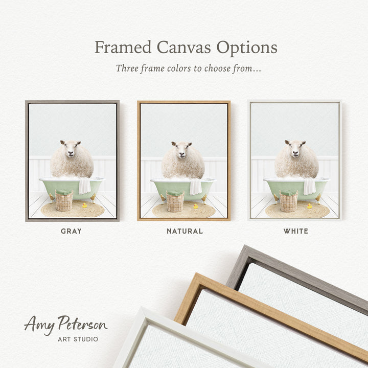 three framed canvas options featuring a sheep in a bathtub, with three different frame colors to choose from: gray, natural, and white.