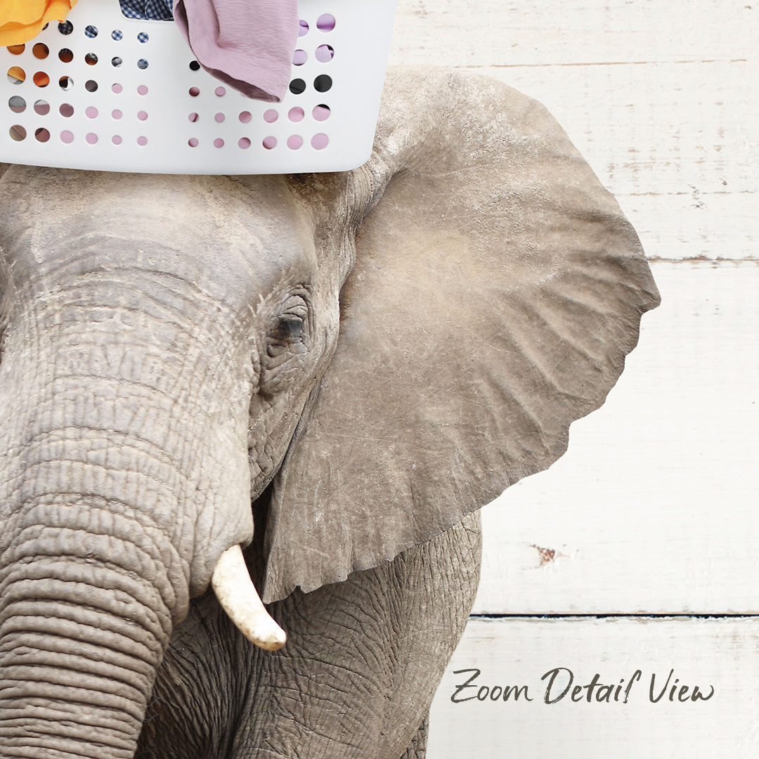 An elephant with a laundry basket on its head, standing against a white background.