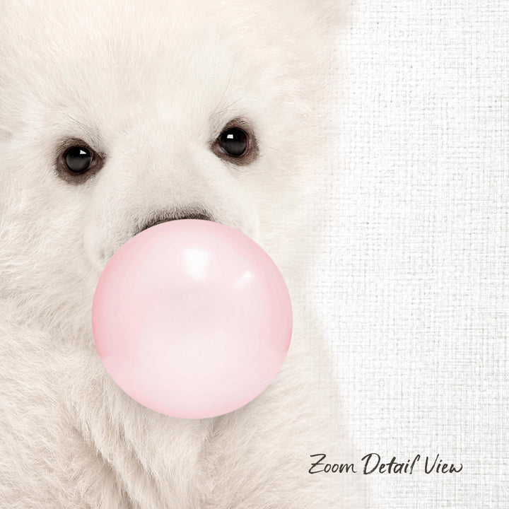A close-up of a white bear holding a pink bubble gum bubble in its mouth.