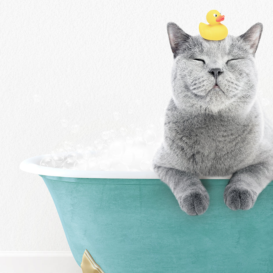 a cat with a rubber ducky on its head sitting in a bathtub