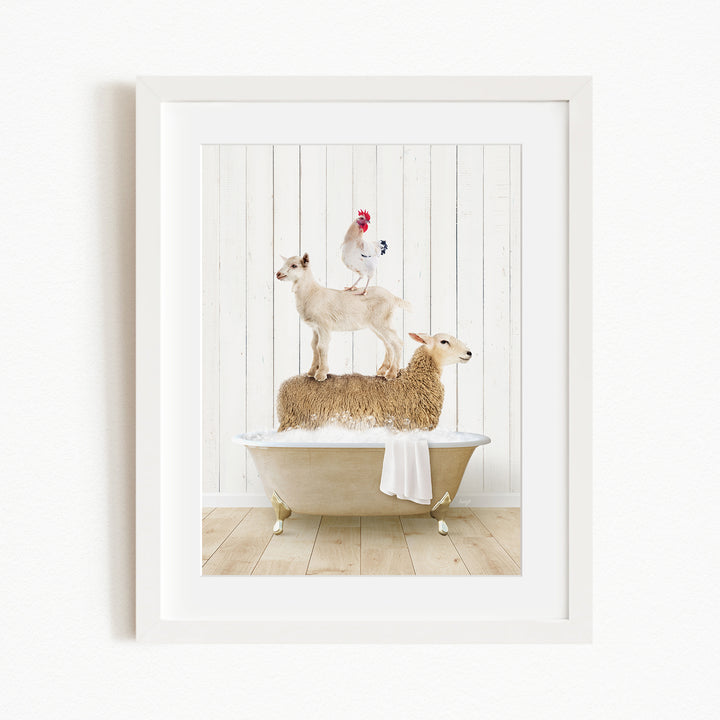 A framed image depicting a goat standing on top of a sheep in a bathtub, with a rooster perched on the sheep's back.
