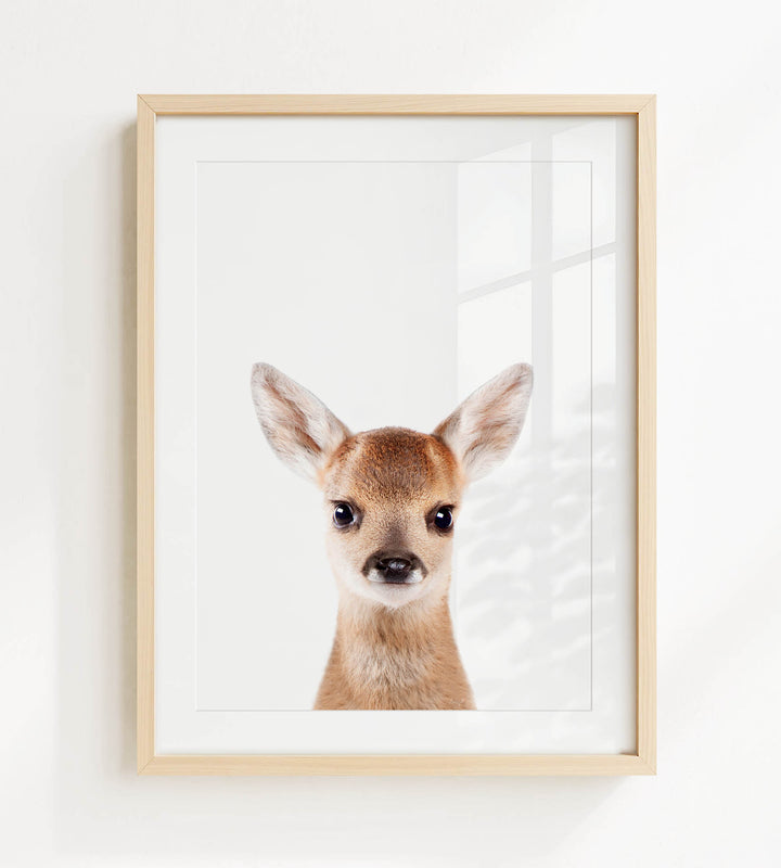 A framed photograph of a deer with large ears and a small nose, looking directly at the camera.