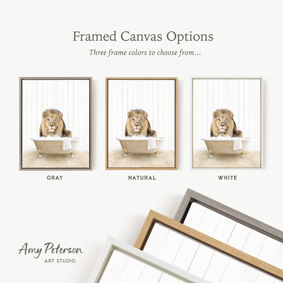 The image is a framed canvas option showcasing three different colored frames for a picture of a lion in a bathtub.