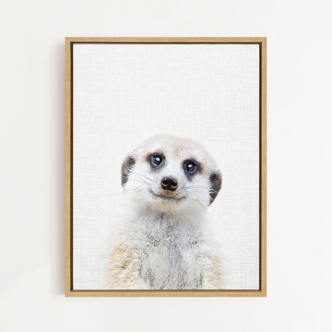 A meerkat peering directly at the camera with a curious expression.