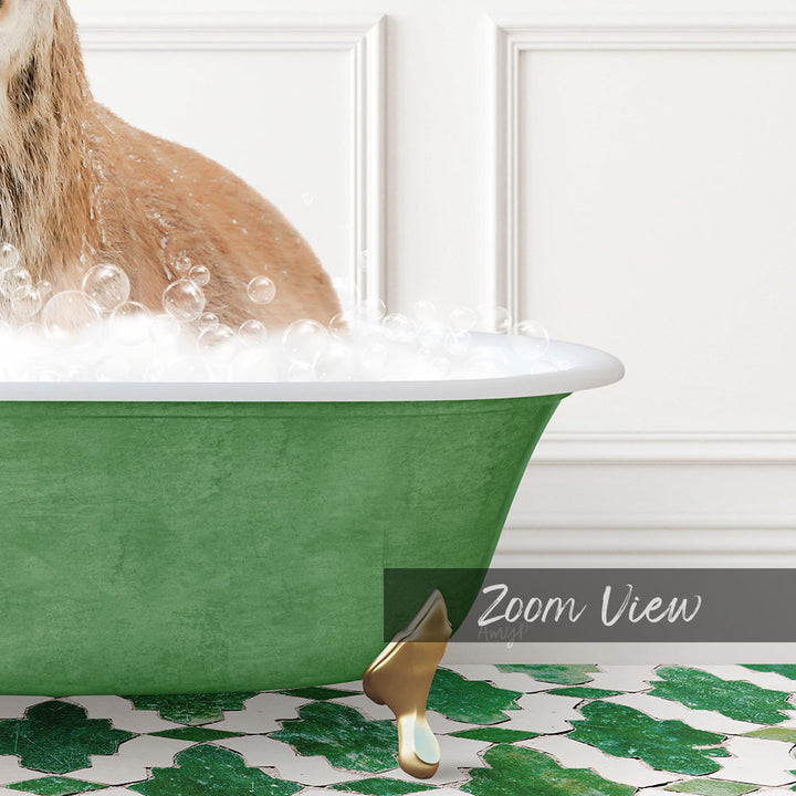 A cat sitting in a green bathtub filled with bubbles, with a white wall and a patterned tile floor in the background.