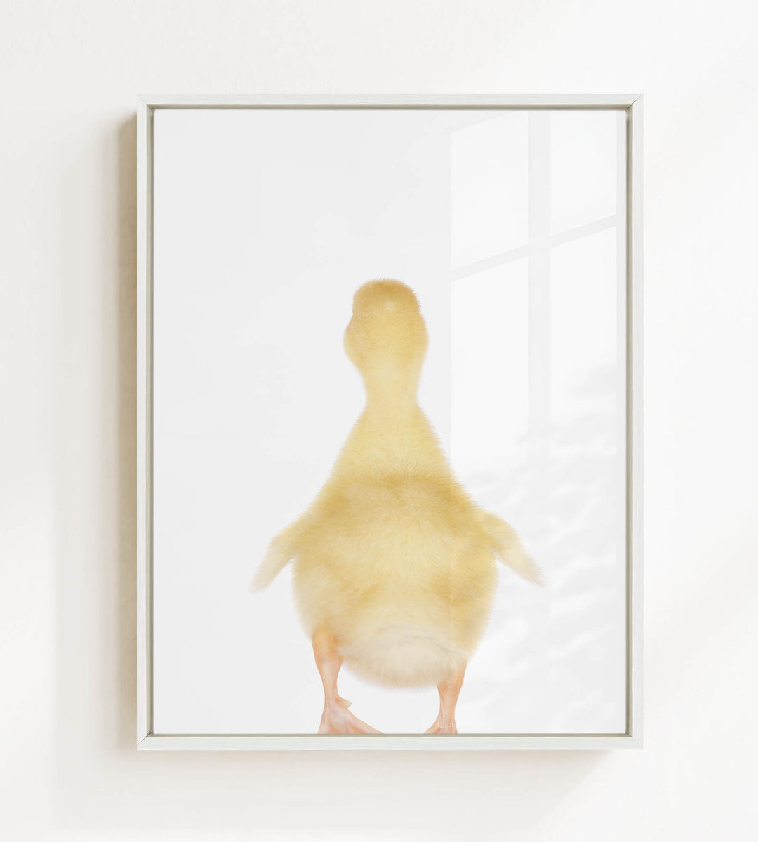 A small, yellow duck standing on one leg in a white frame.