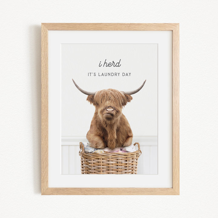 A framed image of a Highland cow sitting in a wicker basket, with the text "It's laundry day" above it.