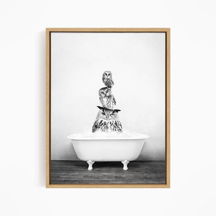 A black and white image of three owls sitting on a white bathtub, with the owls appearing to be in a bathtub.