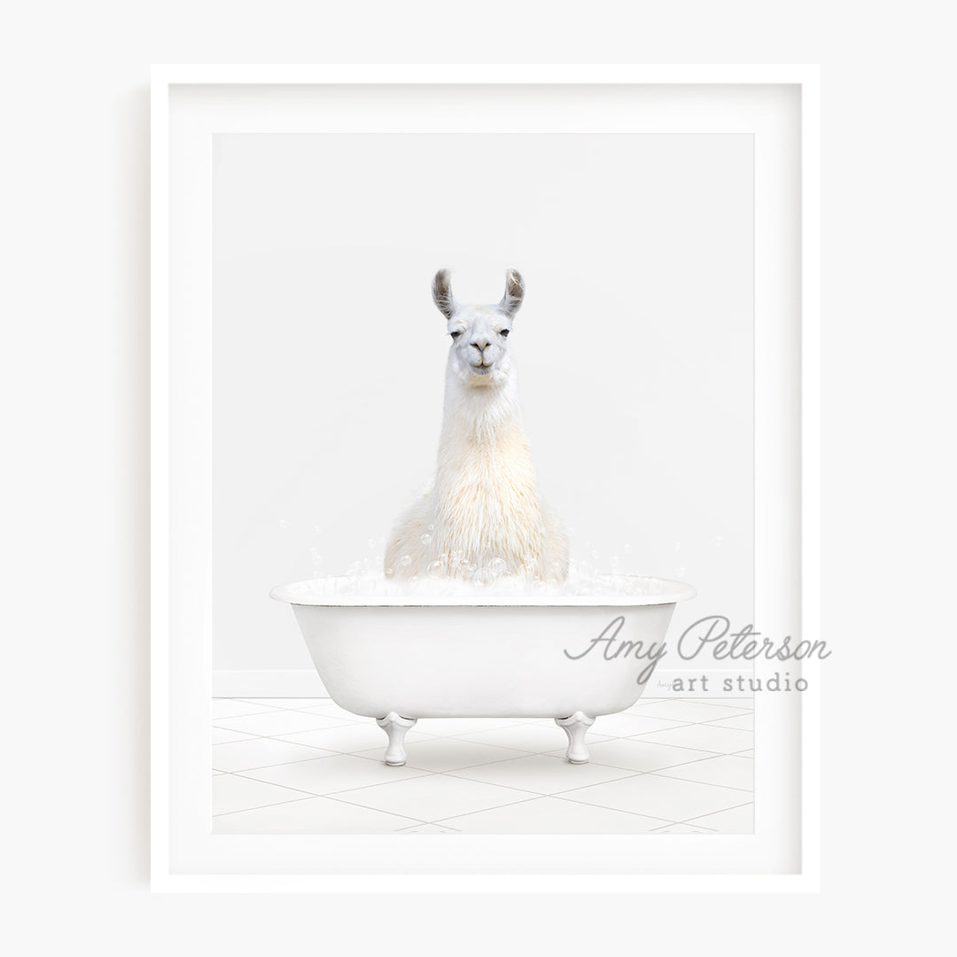 a llama in a bathtub with a white background