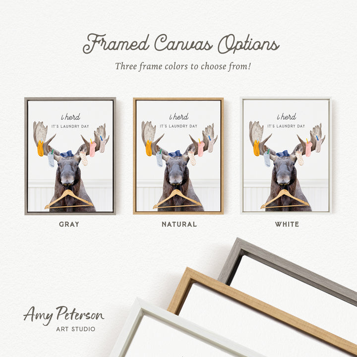 The image is a framed canvas option featuring a moose with laundry hanging from its antlers. There are three different frame colors to choose from: gray, natural, and white.