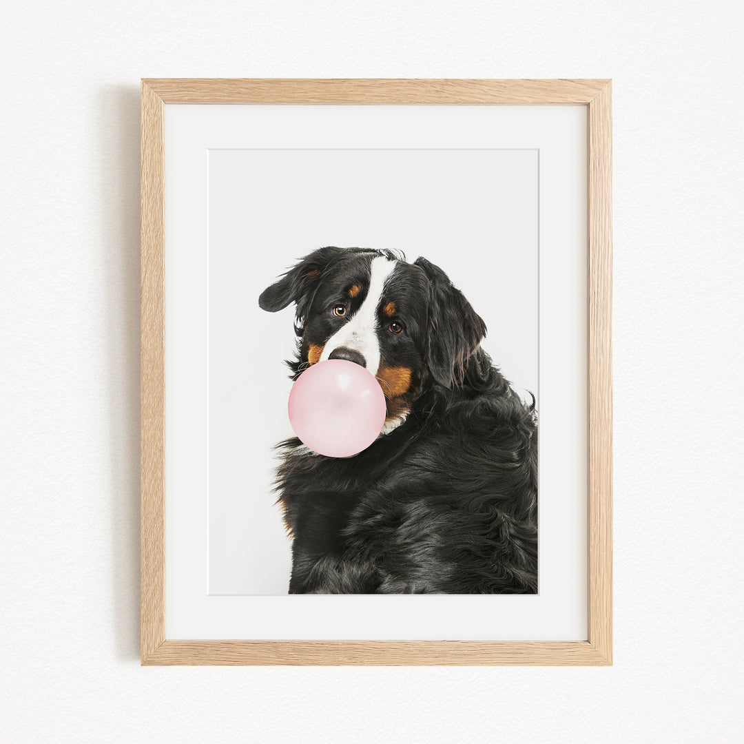 A black and brown dog is blowing a bubble with a pink bubble gum bubble.