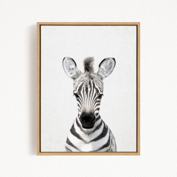 A framed photograph of a zebra's head, with its distinctive black and white striped pattern and large ears, is displayed on a white wall.