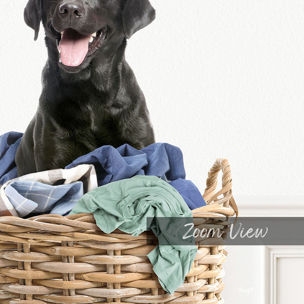 A black dog sitting in a wicker basket filled with clothes, with a white wall in the background.