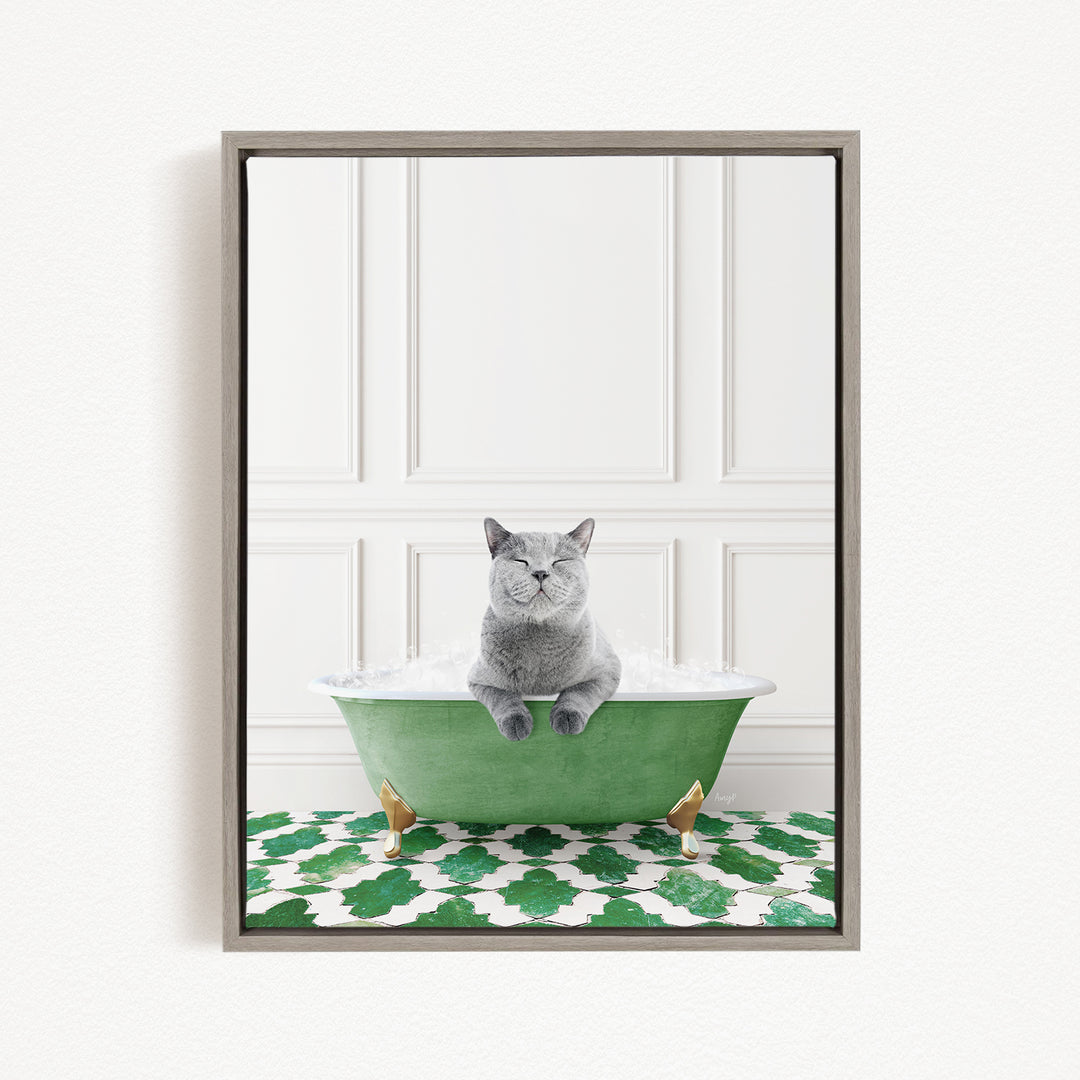 A gray cat sitting in a green bathtub filled with bubbles, with a white wall and green patterned floor in the background.