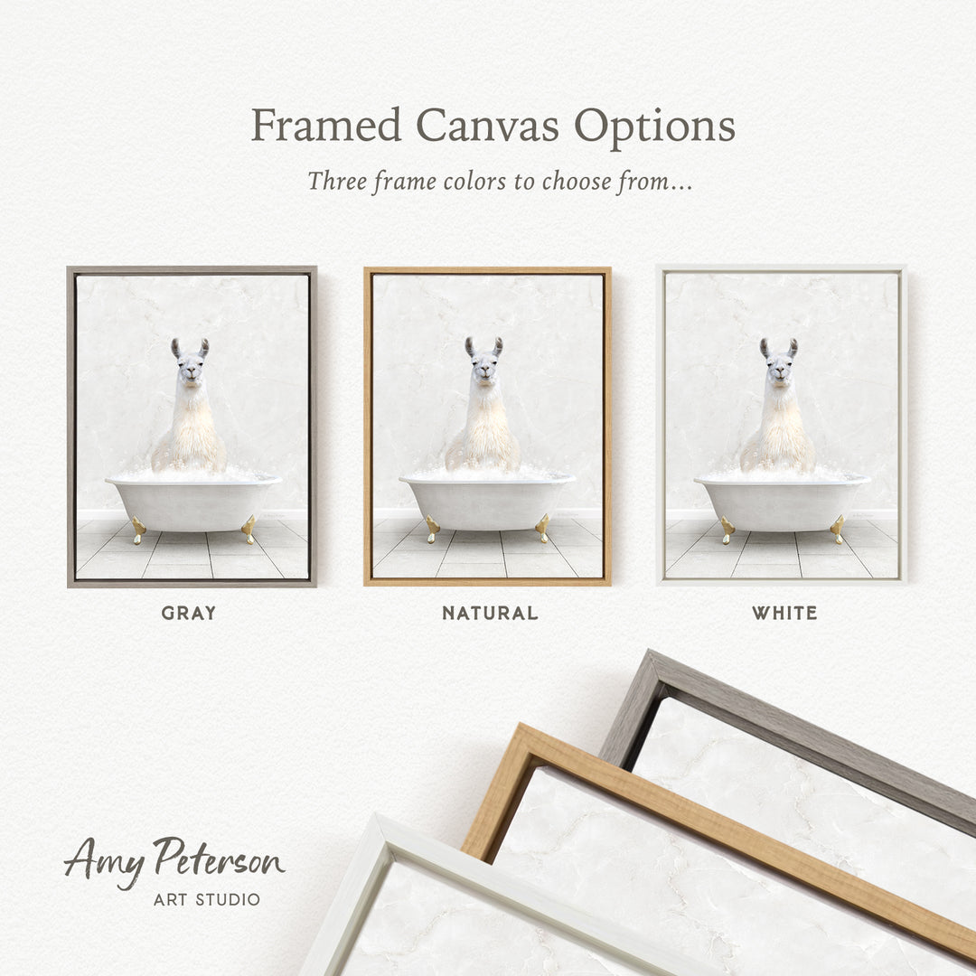 three framed canvas options, each featuring a white llama sitting in a bathtub. The options include a gray frame, a natural frame, and a white frame.