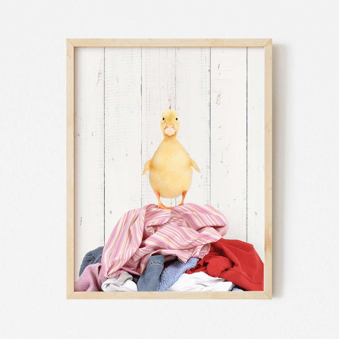 a chicken sitting on top of a pile of clothes