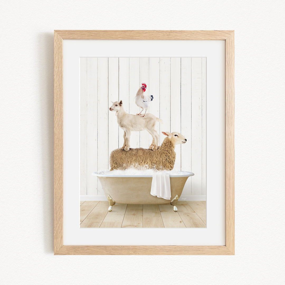 A framed image depicting a goat standing on a sheep's back while a chicken sits on top of the sheep, all in a bathtub.