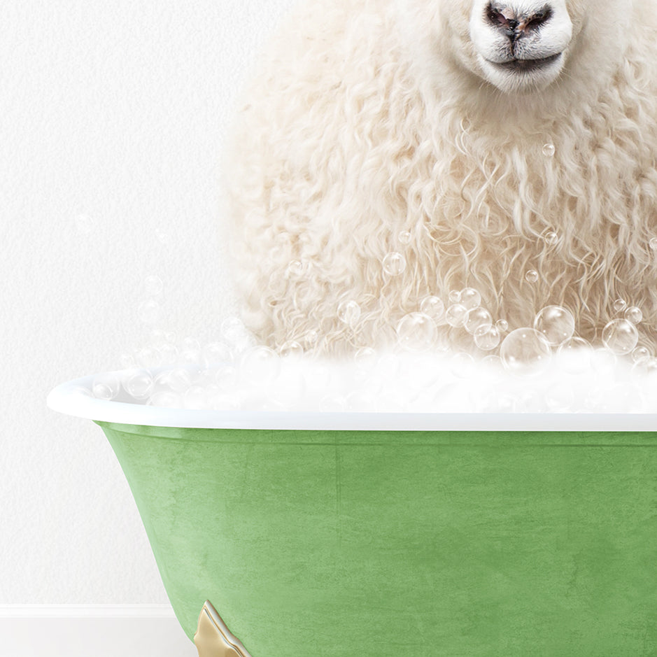 a white sheep sitting in a green bathtub