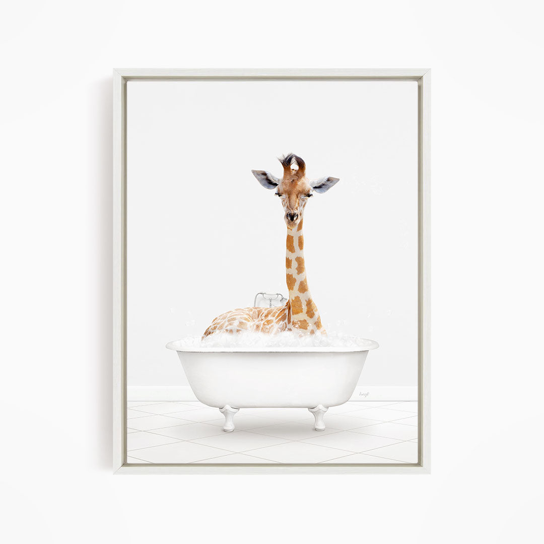A giraffe sitting in a white bathtub filled with water.