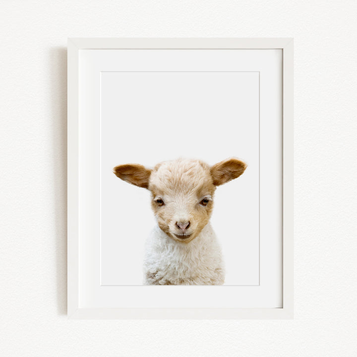 A framed image of a cute lamb with a friendly expression.