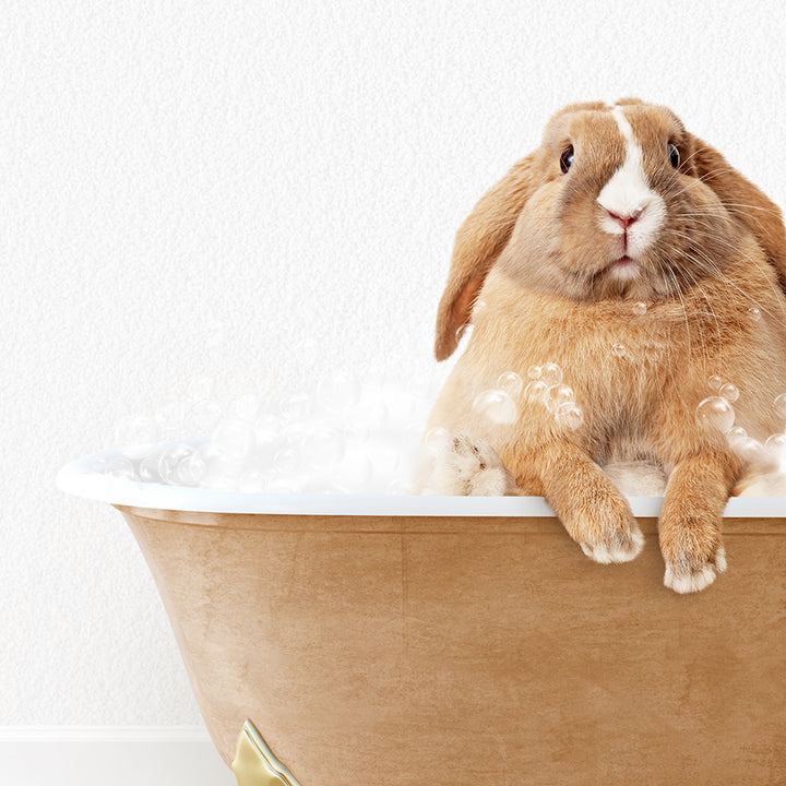 a brown and white rabbit sitting in a bathtub