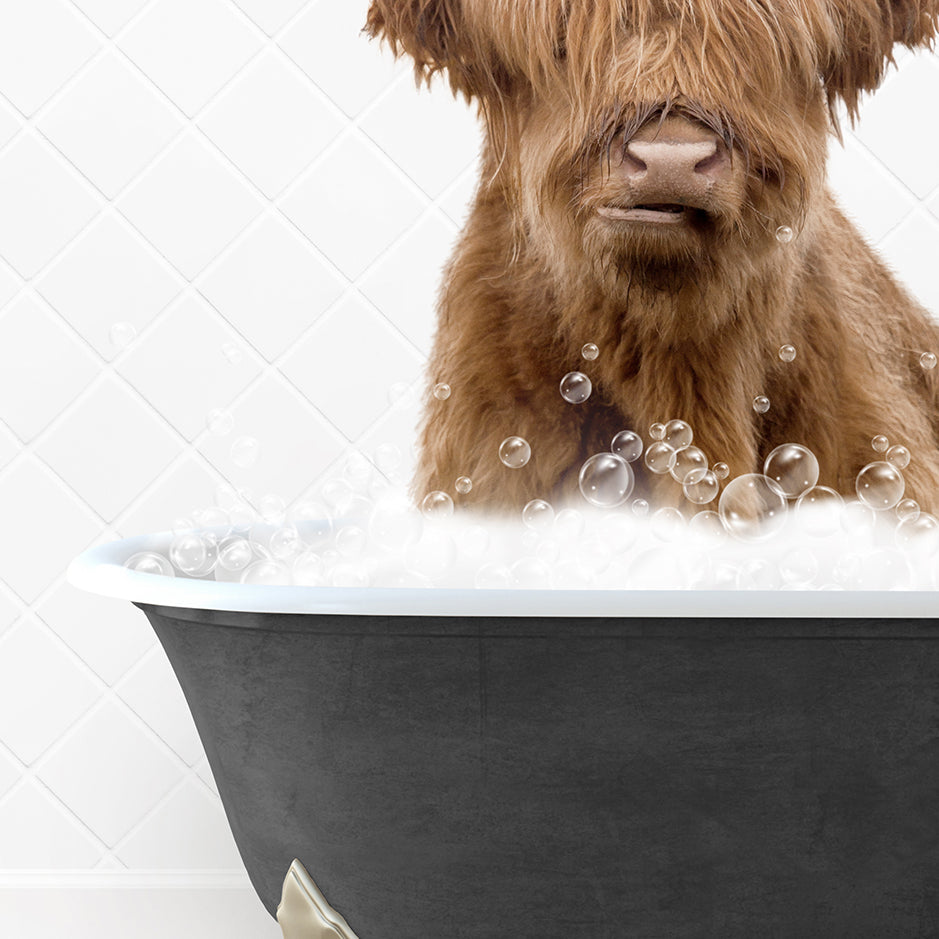 a shaggy dog sitting in a bathtub with bubbles