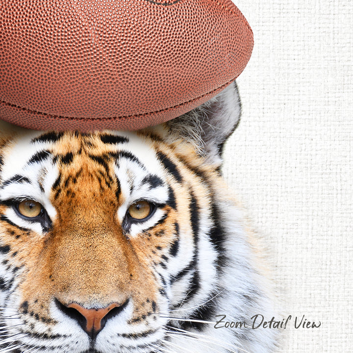 A close-up of a tiger's face with a football resting on its head.